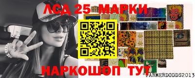 спиды Кимры