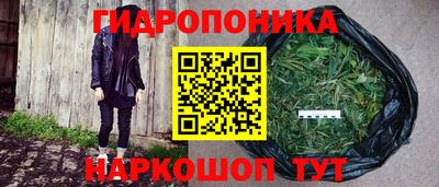 молекула духа Кинель